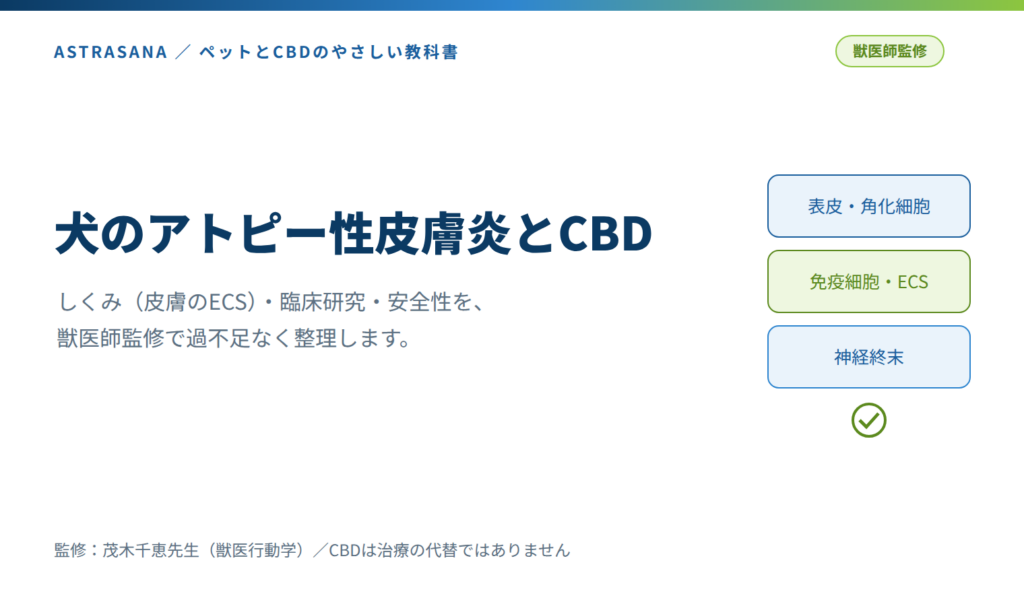 犬のアトピー性皮膚炎とCBD 記事アイキャッチ