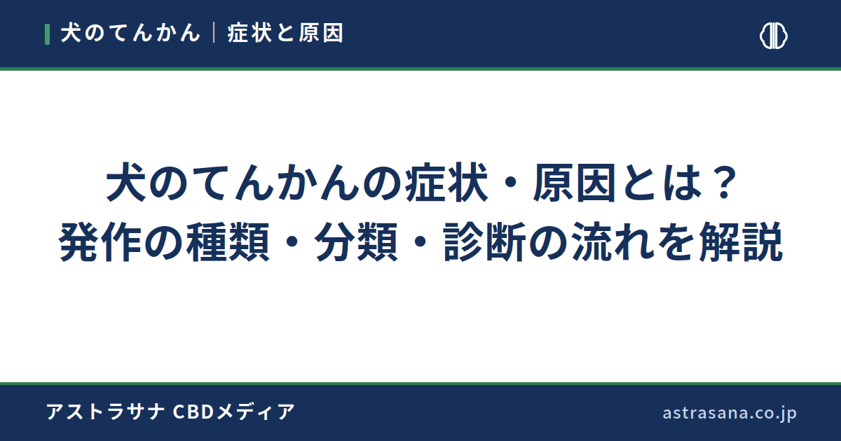 犬のてんかんの症状・原因とは？発作の種類・分類・診断の流れを解説