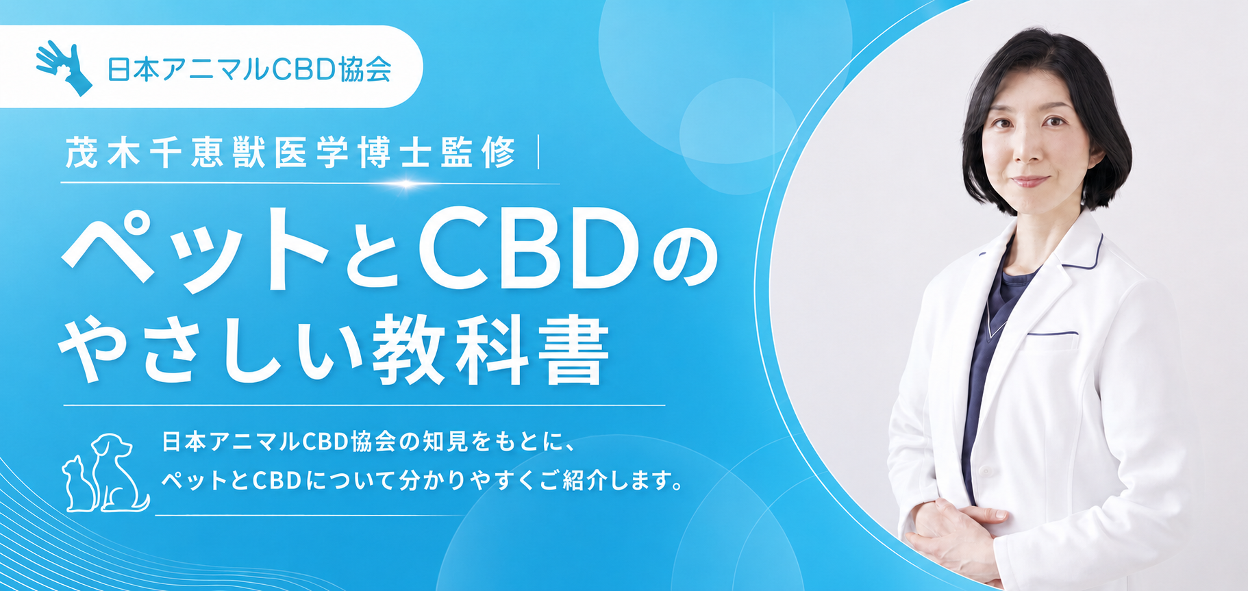 茂木千恵先生