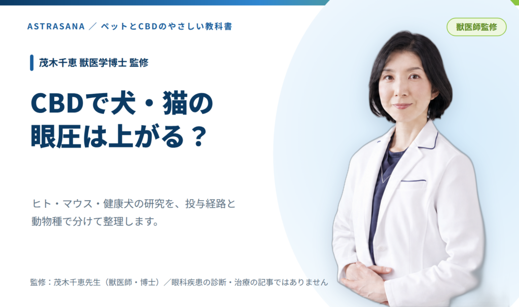 CBDで犬・猫の眼圧は上がる？記事アイキャッチ（茂木千恵先生監修）