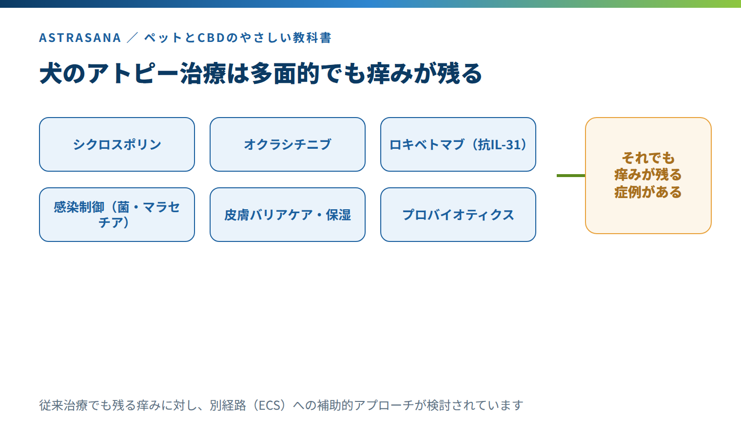 犬のアトピー性皮膚炎の治療の全体像