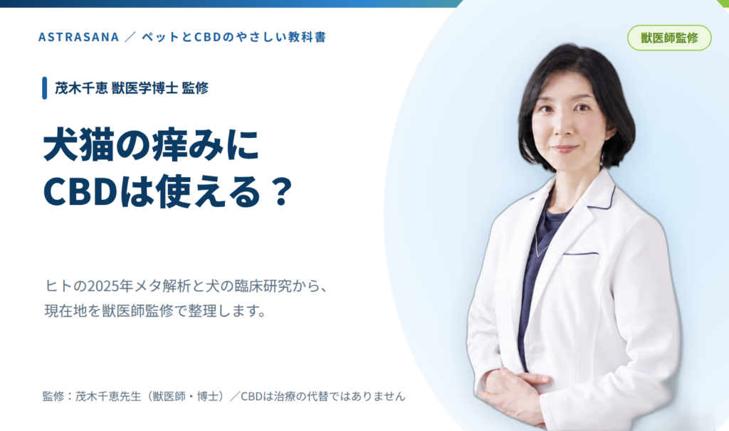 犬猫の痒みにCBDは使える？記事アイキャッチ（茂木千恵先生監修）